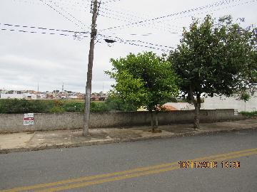 imagem 2 - Terreno - Lote imagem 2 - Terreno - Lote