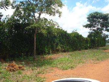 imagem 4 - Terreno - Lote imagem 4 - Terreno - Lote
