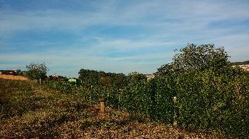 imagem 3 - Terreno - Lote imagem 3 - Terreno - Lote