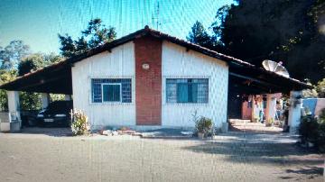 Alugar Rural / Rancho em Itapetininga apenas R$ 800,00 - Foto 7 Alugar Rural / Rancho em Itapetininga apenas R$ 800,00 - Foto 7