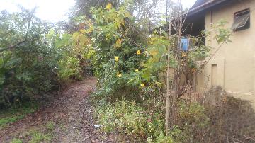 Alugar Rural / Rancho em Itapetininga apenas R$ 800,00 - Foto 10 Alugar Rural / Rancho em Itapetininga apenas R$ 800,00 - Foto 10