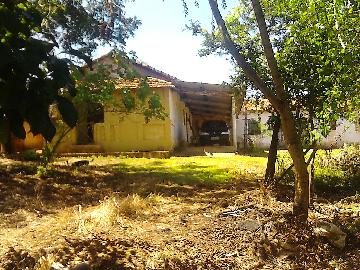Alugar Rural / Rancho em Itapetininga apenas R$ 800,00 - Foto 15 Alugar Rural / Rancho em Itapetininga apenas R$ 800,00 - Foto 15
