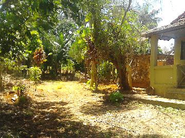 Alugar Rural / Rancho em Itapetininga apenas R$ 800,00 - Foto 16 Alugar Rural / Rancho em Itapetininga apenas R$ 800,00 - Foto 16