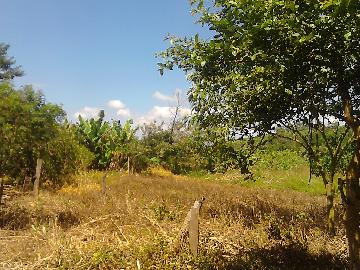 Alugar Rural / Rancho em Itapetininga apenas R$ 800,00 - Foto 17 Alugar Rural / Rancho em Itapetininga apenas R$ 800,00 - Foto 17