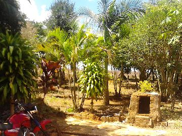 Alugar Rural / Rancho em Itapetininga apenas R$ 800,00 - Foto 18 Alugar Rural / Rancho em Itapetininga apenas R$ 800,00 - Foto 18