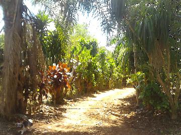 Alugar Rural / Rancho em Itapetininga apenas R$ 800,00 - Foto 19 Alugar Rural / Rancho em Itapetininga apenas R$ 800,00 - Foto 19