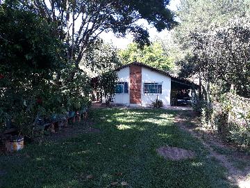 Alugar Rural / Rancho em Itapetininga apenas R$ 800,00 - Foto 22 Alugar Rural / Rancho em Itapetininga apenas R$ 800,00 - Foto 22