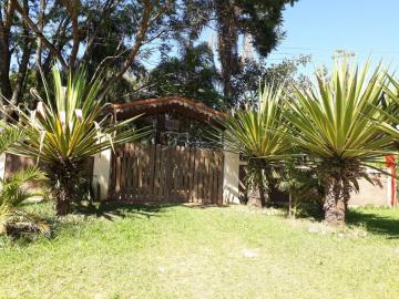 Alugar Rural / Rancho em Itapetininga apenas R$ 800,00 - Foto 1 Alugar Rural / Rancho em Itapetininga apenas R$ 800,00 - Foto 1