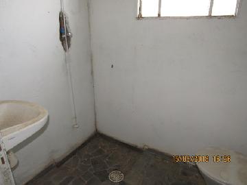 Comprar Comercial / Barracão em Itapetininga apenas R$ 320.000,00 - Foto 5 Comprar Comercial / Barracão em Itapetininga apenas R$ 320.000,00 - Foto 5