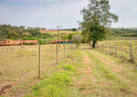 Alambari Cercadinho Rural Venda R$1.800.000,00 3 Dormitorios  Area do terreno 46000.00m2 Area construida 600.00m2