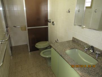Alugar Comercial / Sala Comercial em Itapetininga apenas R$ 5.000,00 - Foto 8 Alugar Comercial / Sala Comercial em Itapetininga apenas R$ 5.000,00 - Foto 8