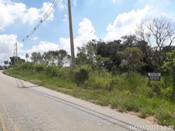 imagem 3 - Terreno - Lote imagem 3 - Terreno - Lote