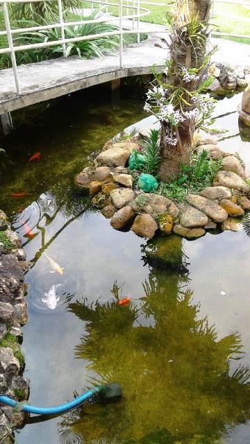 imagem 4 - Rural - Chacara imagem 4 - Rural - Chacara