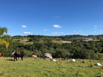 imagem 4 - Rural - Chacara imagem 4 - Rural - Chacara