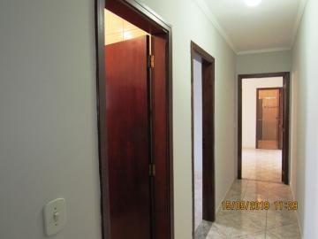 imagem 4 - Casa - Padrão imagem 4 - Casa - Padrão