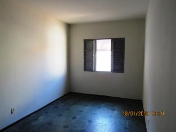 imagem 4 - Casa - Padrão imagem 4 - Casa - Padrão