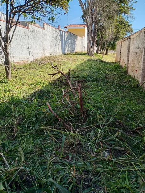 imagem 5 - Comercial - Terreno imagem 5 - Comercial - Terreno