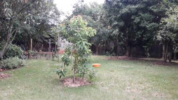 imagem 2 - Casa - Padrão imagem 2 - Casa - Padrão