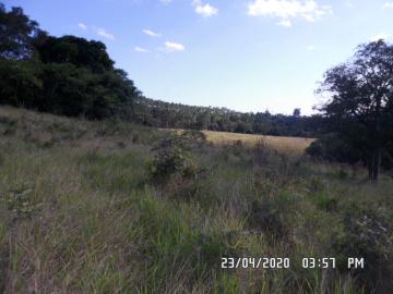 imagem 3 - Rural - Área imagem 3 - Rural - Área