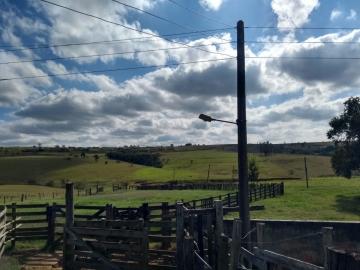 imagem 5 - Rural - Sitio imagem 5 - Rural - Sitio