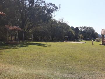 imagem 4 - Rural - Sitio imagem 4 - Rural - Sitio