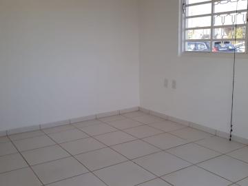 imagem 4 - Comercial - Barracão imagem 4 - Comercial - Barracão