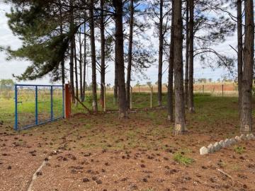 imagem 2 - Comercial - Terreno imagem 2 - Comercial - Terreno