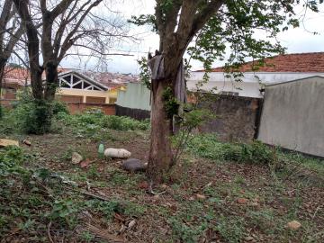 imagem 4 - Terreno - Lote imagem 4 - Terreno - Lote