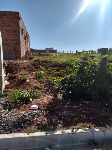 imagem 1 - Terreno - Lote imagem 1 - Terreno - Lote
