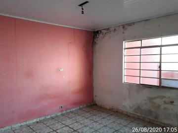 imagem 5 - Casa - Padrão imagem 5 - Casa - Padrão