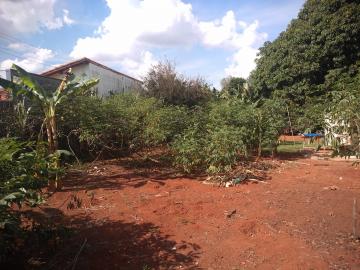 imagem 1 - Terreno - Lote imagem 1 - Terreno - Lote