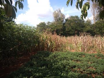 imagem 2 - Terreno - Lote imagem 2 - Terreno - Lote