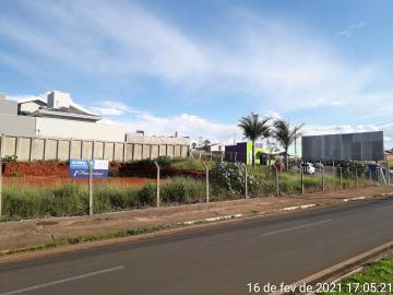 imagem 3 - Comercial - Terreno imagem 3 - Comercial - Terreno