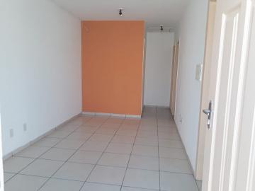 imagem 3 - Casa - Padrão imagem 3 - Casa - Padrão