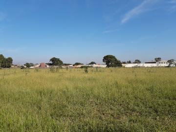imagem 3 - Terreno - Lote imagem 3 - Terreno - Lote