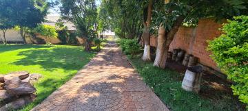 imagem 1 - Rural - Sitio imagem 1 - Rural - Sitio