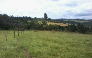 imagem 2 - Rural - Sitio imagem 2 - Rural - Sitio
