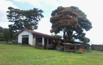 imagem 3 - Rural - Sitio imagem 3 - Rural - Sitio