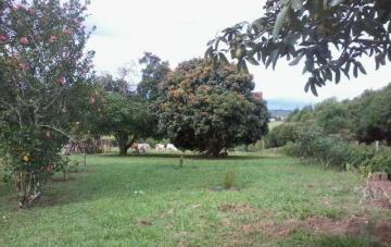 imagem 4 - Rural - Sitio imagem 4 - Rural - Sitio
