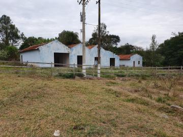 imagem 1 - Rural - Sitio imagem 1 - Rural - Sitio