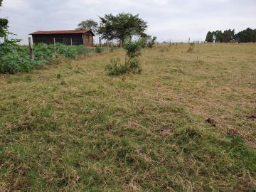 imagem 4 - Rural - Sitio imagem 4 - Rural - Sitio