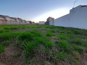 imagem 2 - Terreno - Lote imagem 2 - Terreno - Lote