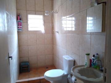 imagem 5 - Casa - Padrão imagem 5 - Casa - Padrão