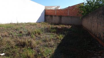 imagem 1 - Terreno - Lote imagem 1 - Terreno - Lote