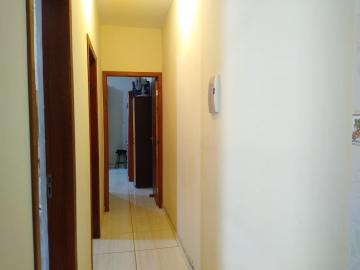 imagem 4 - Casa - Padrão imagem 4 - Casa - Padrão