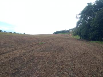 imagem 3 - Rural - Sitio imagem 3 - Rural - Sitio