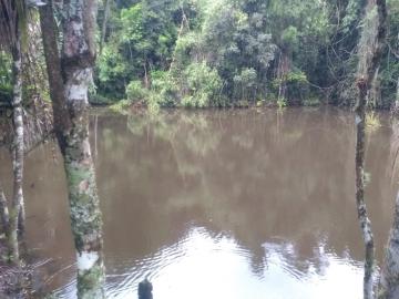 imagem 4 - Rural - Sitio imagem 4 - Rural - Sitio