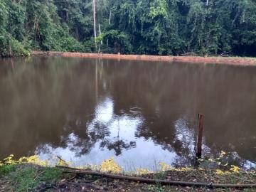 imagem 5 - Rural - Sitio imagem 5 - Rural - Sitio