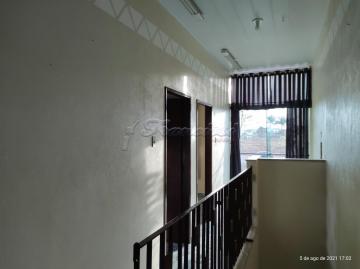 imagem 5 - Casa - Padrão imagem 5 - Casa - Padrão