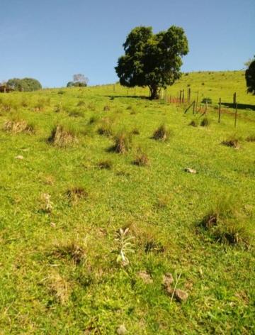 imagem 2 - Rural - Sitio imagem 2 - Rural - Sitio